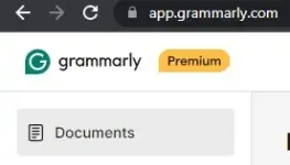5.webp