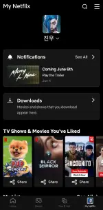 Screenshot_20250605_013809_Netflix.webp