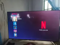 174925948740466270574196690812.webp