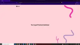 1749287924892.webp