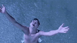 200.gif 200.gif