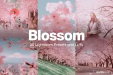 blossom presets (1).webp blossom presets (1).webp