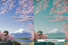 blossom presets (2).webp blossom presets (2).webp