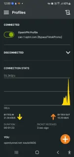 Screenshot_20250610_000015_OpenVPN Connect.webp