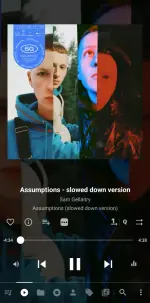 Screenshot_20250610_091206_Musicolet.webp Screenshot_20250610_091206_Musicolet.webp