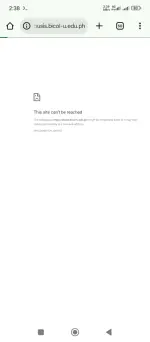 1000025203.webp