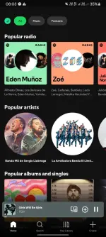Screenshot_20250612_080340_Spotify.webp