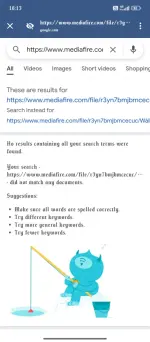 1000000486.webp