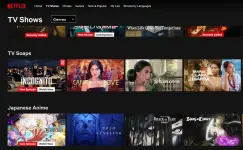 2025-06-13 16_35_00-TV Shows - Netflix — Mozilla Firefox.webp