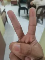 17498170598074781332391972766392.webp