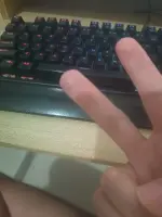 1000096294.webp