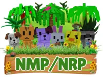 nmp.webp