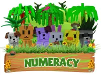 numeracy.webp