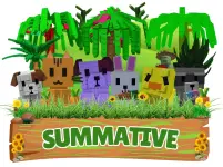 summative.webp