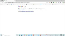 1750145426195.webp