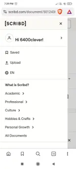 Screenshot_2025-06-17-19-29-55-012_com.brave.browser.webp