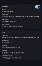 Screenshot_20250619_035836_WireGuard.webp