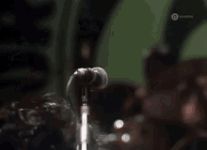 1000000308.gif