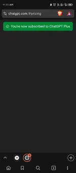 1001109159.webp