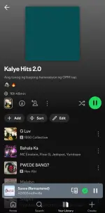 Screenshot_20250620_120832_Spotify.webp