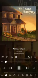 Screenshot_20250620_123531_Musicolet.webp