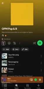 Screenshot_20250620_125618_Spotify.webp