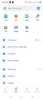 wps pro (1).webp