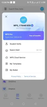 wps pro (2).webp