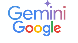 1000031689.gif