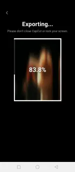 capcut (2).webp capcut (2).webp