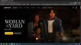 1751029312675.webp