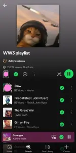 Screenshot_20250628_161555_Spotify.webp