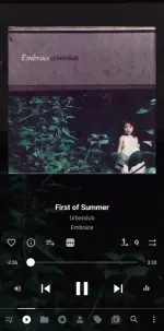 Screenshot_20250629_063308_Musicolet.webp
