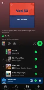 Screenshot_20250629_070411_Spotify.webp