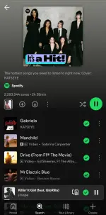 Screenshot_20250629_072206_Spotify.webp