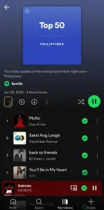 Screenshot_20250629_075532_Spotify.webp