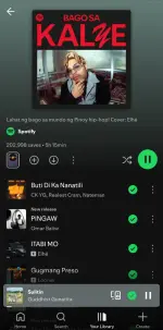 Screenshot_20250629_082605_Spotify.webp