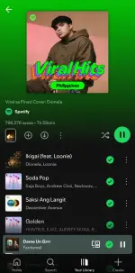 Screenshot_20250629_094611_Spotify.webp