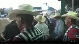 1751181204759.webp