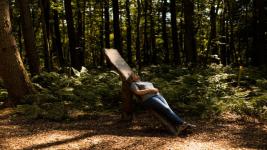 visitor-forest-bathing-at-wallington-northumberland-1752688.jpg visitor-forest-bathing-at-wallington-northumberland-1752688.jpg
