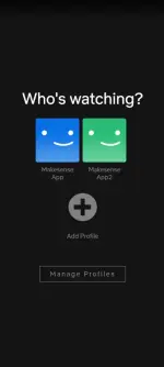 Screenshot 2025-06-29 225543.webp
