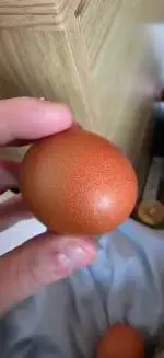 1000070058.webp 1000070058.webp