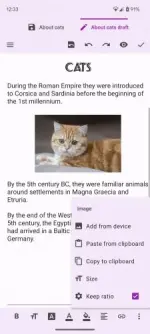 1751528560307.webp