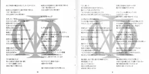 13.webp