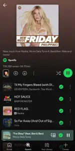 Screenshot_20250704_193800_Spotify.webp Screenshot_20250704_193800_Spotify.webp