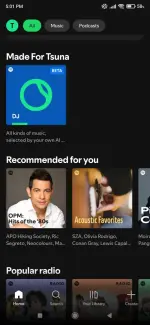 Screenshot_2025-07-05-17-01-16-042_com.spotify.music.webp