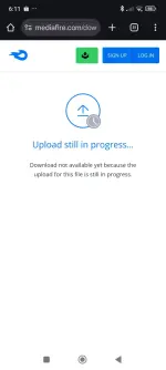 1000013379.webp 1000013379.webp