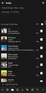 Screenshot_20250707_144835_Musicolet.webp