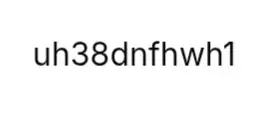 1752163057010.webp