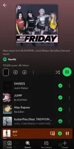 Screenshot_20250711_223804_Spotify.webp